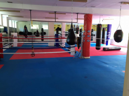 K-1 Academy