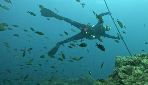 Poseidon Diving Club