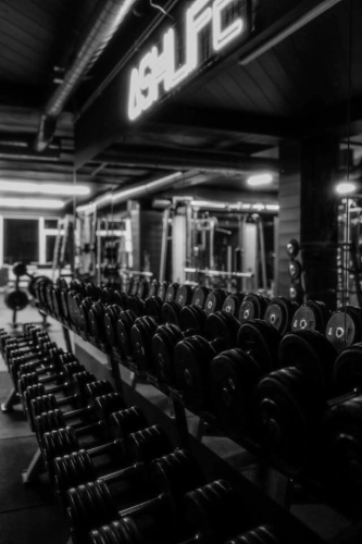 ASHLIFE GYM
