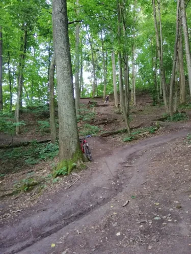 Parco forestale di Kleboniškis