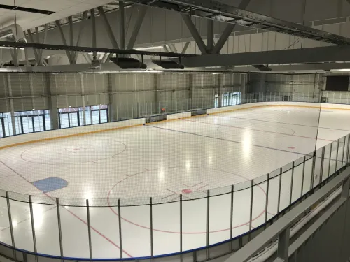 Daugavos ledo arena