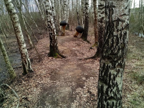 Bubiai MTB Trails