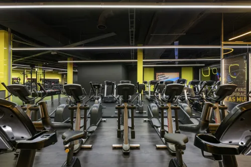 Lemon Gym Europa