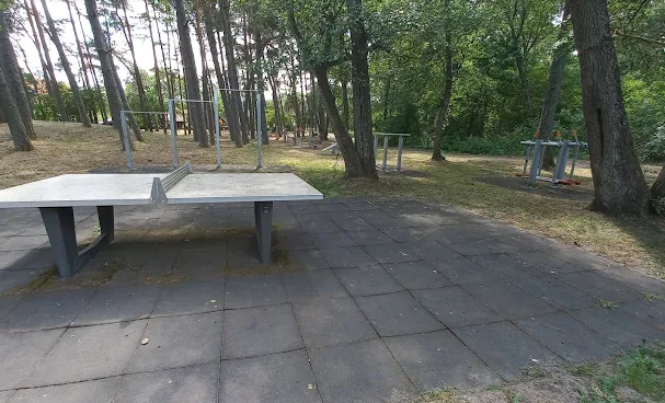 Area fitness all’aperto a Neringa C37R