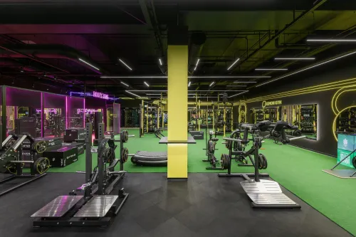 Lemon Gym Pikas