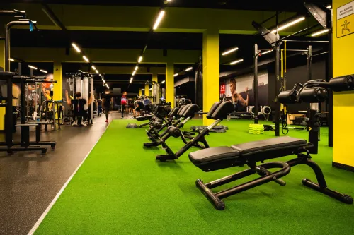 Lemon Gym Ateities