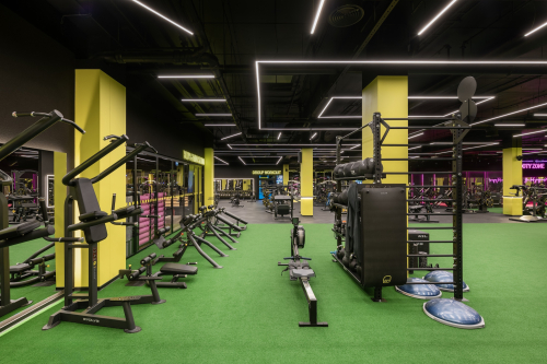Lemon Gym Pikas