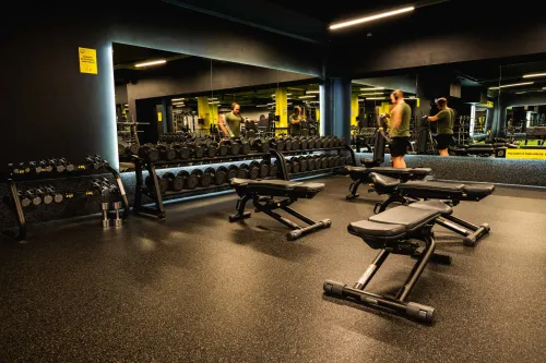 Lemon Gym Ateities