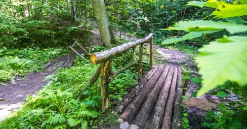 Parco forestale di Kleboniškis