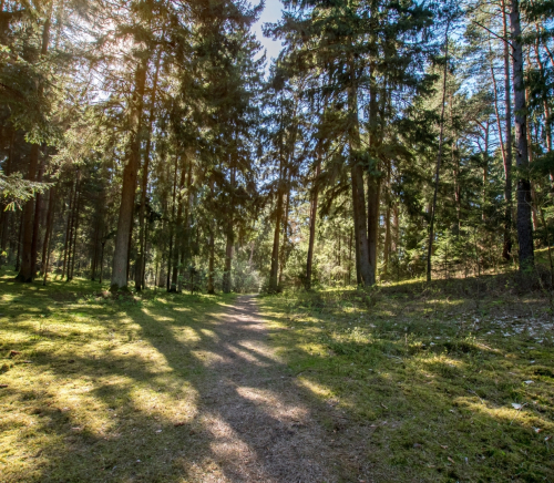 Springs Trail near Kačerginė