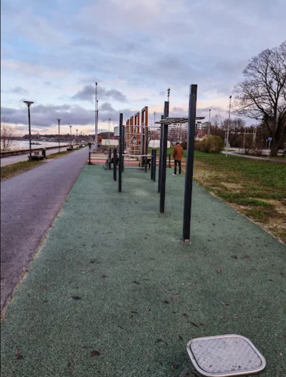 DenFit street gym Pirita tee Taline