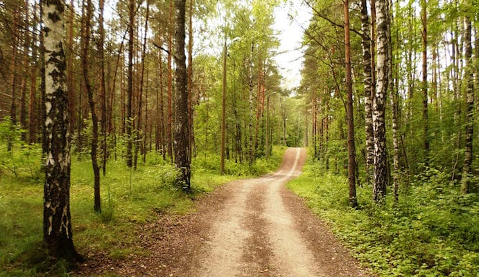Harku Forest Trails