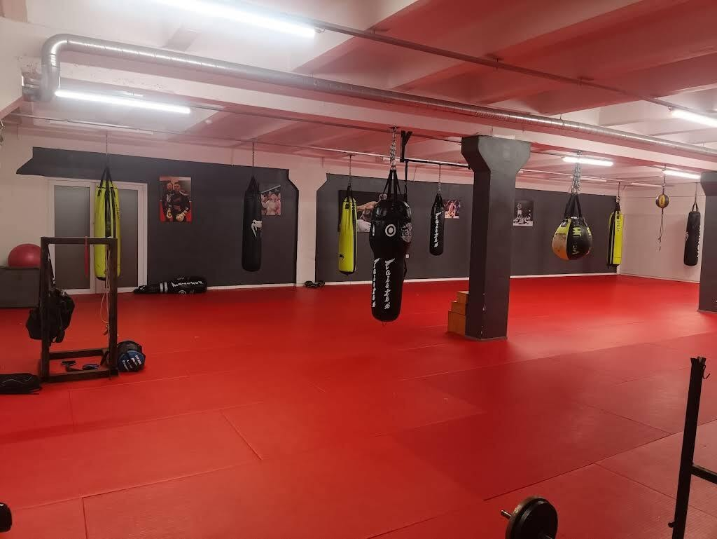 Kampfsportclub One Blood in Kaunas