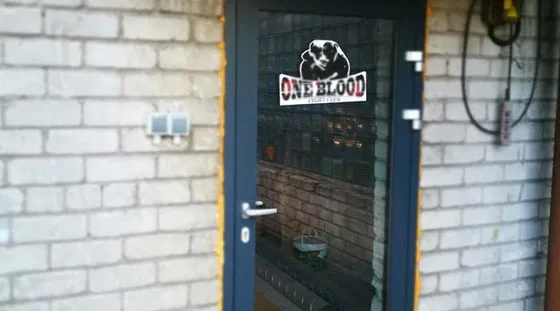 One Blood Martial Arts Club in Kaunas