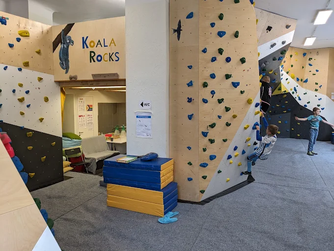 KoalaRocks, club d’escalade pour enfants et jeunes