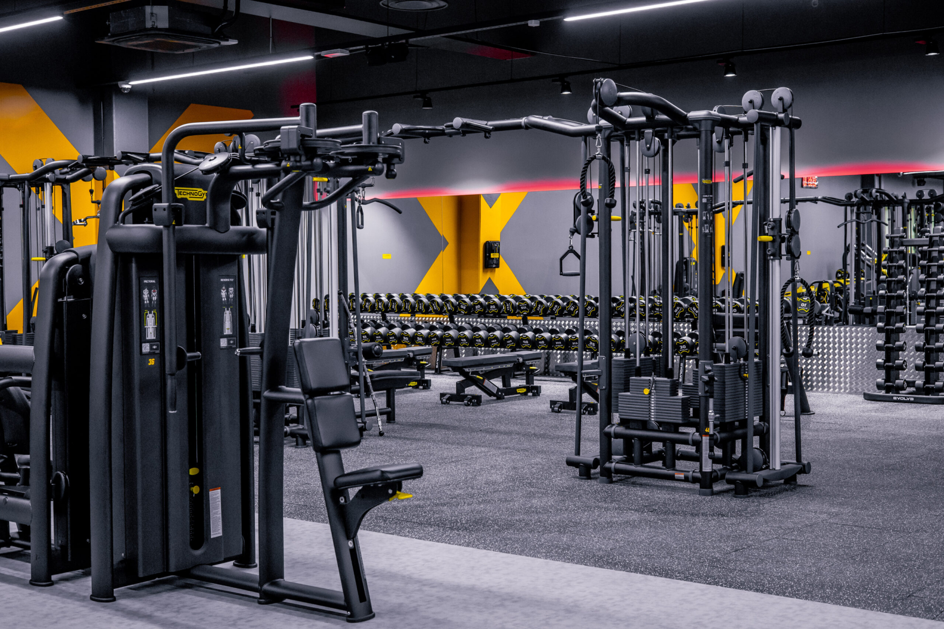 GYM! Kerese