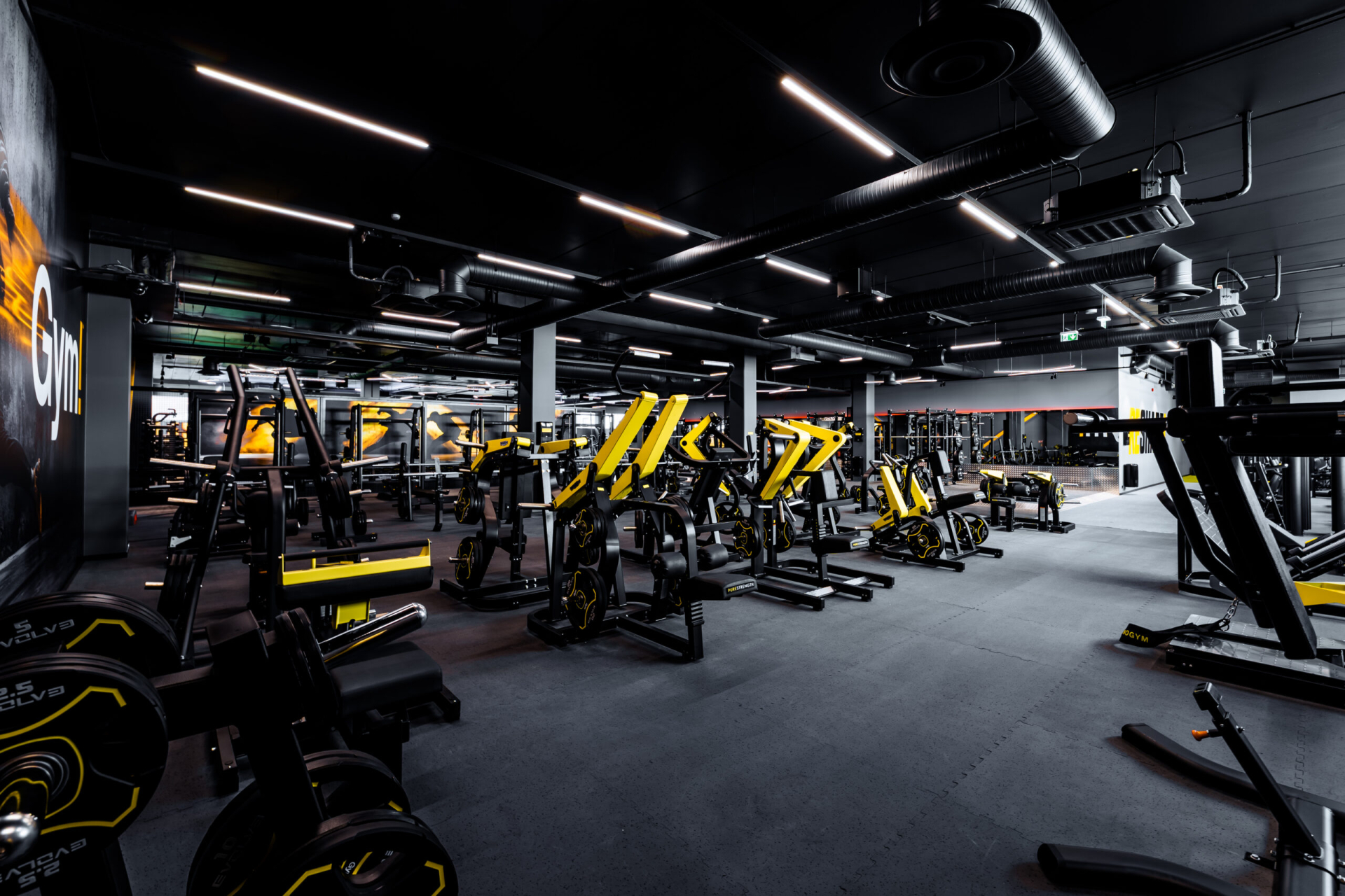 GYM! Virbi