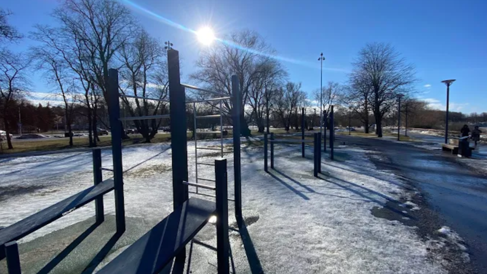 DenFit street gym Pirita tee Taline