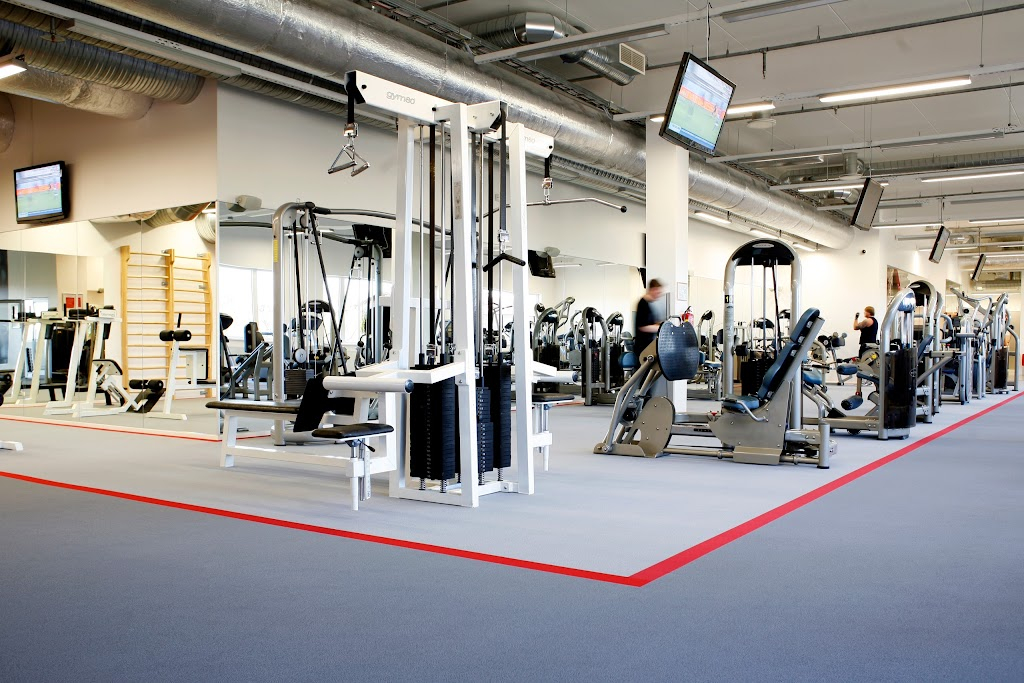 MyFitness Narva Fama