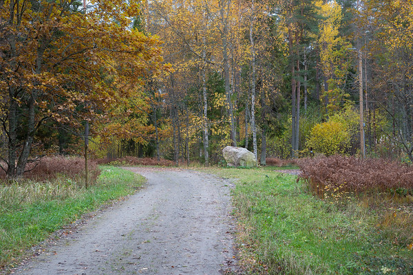 Tädu Nature Study Trail near Viimsi