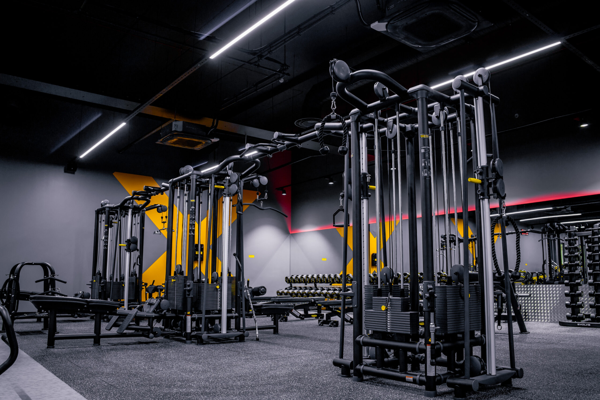 GYM! Kerese