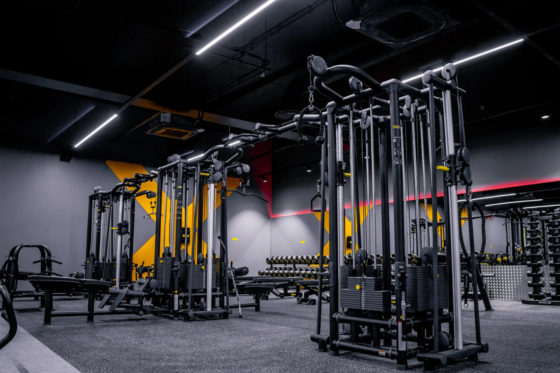 GYM! Kerese