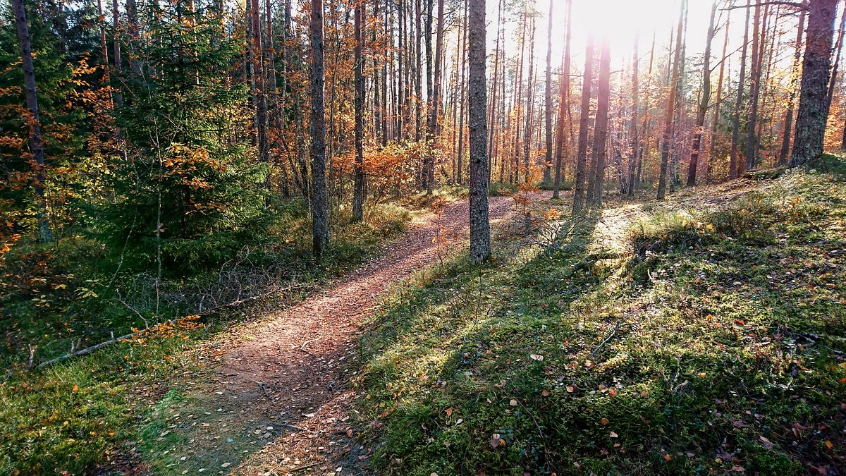 Harku Forest Trails