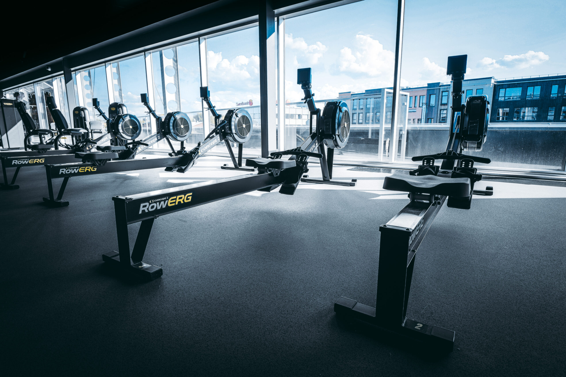 GYM! Tasku