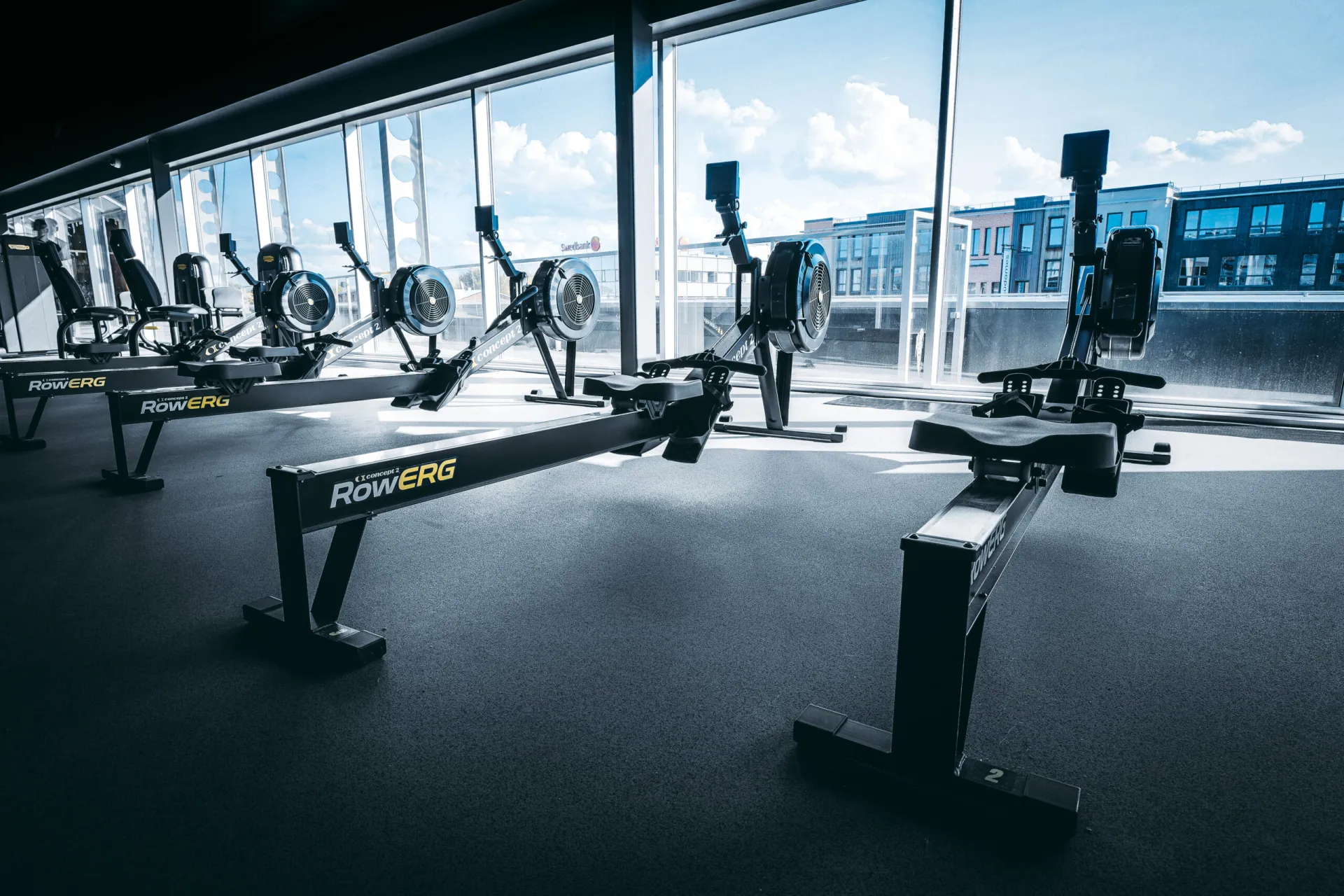 GYM! Tasku
