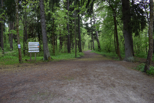 Pirita Health and Ski Trails in Tallinn