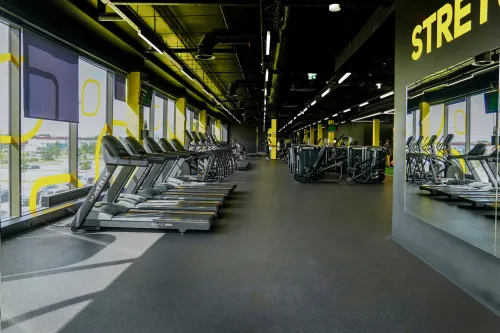 Lemon Gym Mustakivi