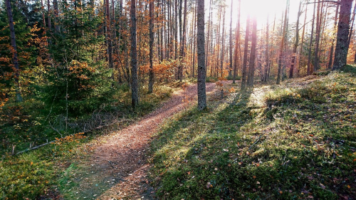 Harku Forest Trails