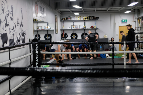Berserk Fight Gym